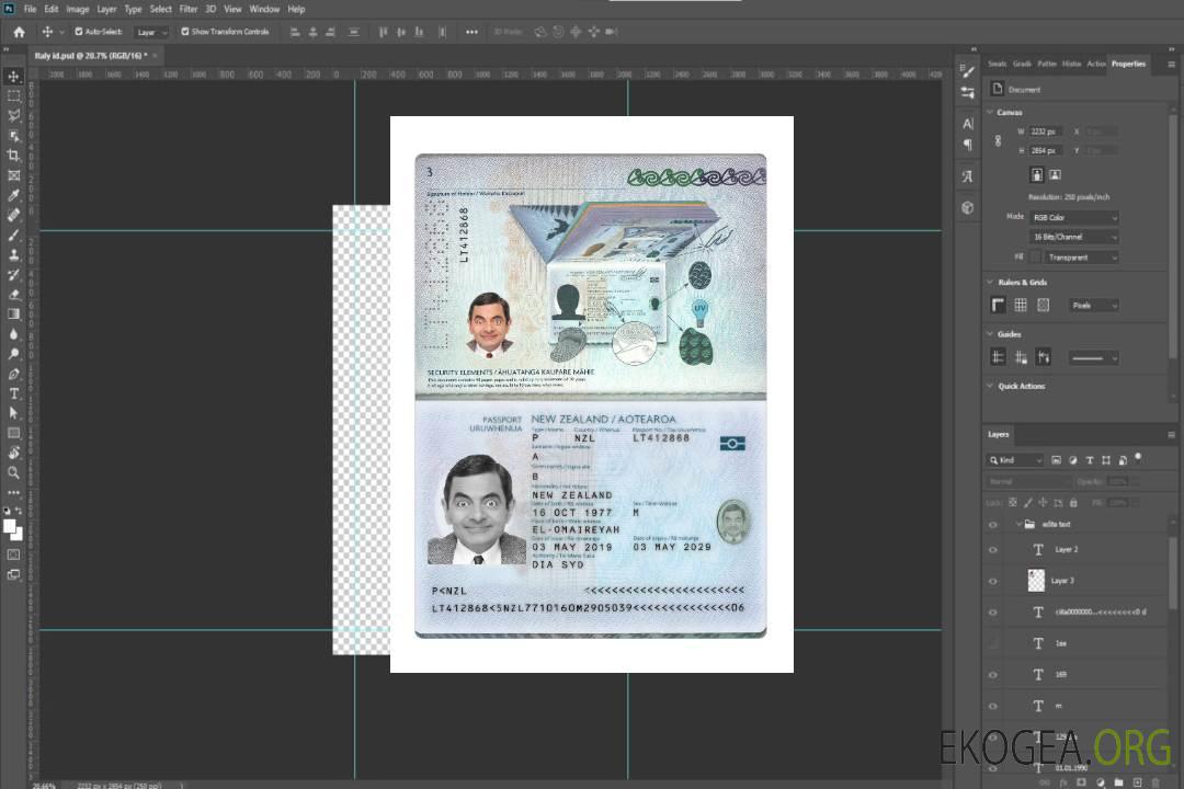 Passeport néo-zélandais 2019-présent template Passeport néo-zélandais 2019-présent template
